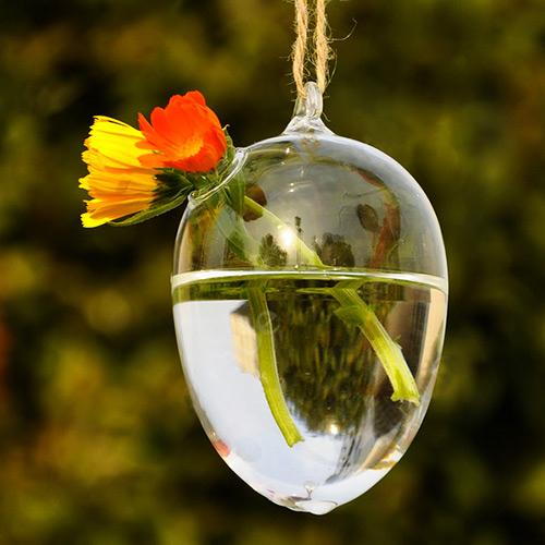 Hanging Glass Ball Vase Flower Plant Pot Terrarium Container Decor GO Lot eBay