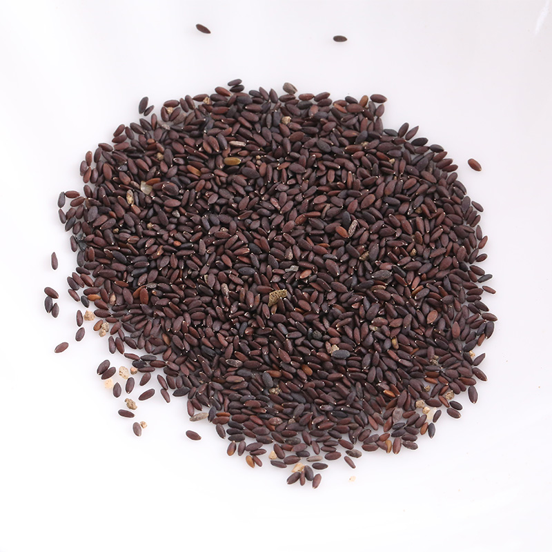 1000pcs Rare Mint Peppermint Herb Seeds Aroma Saranair